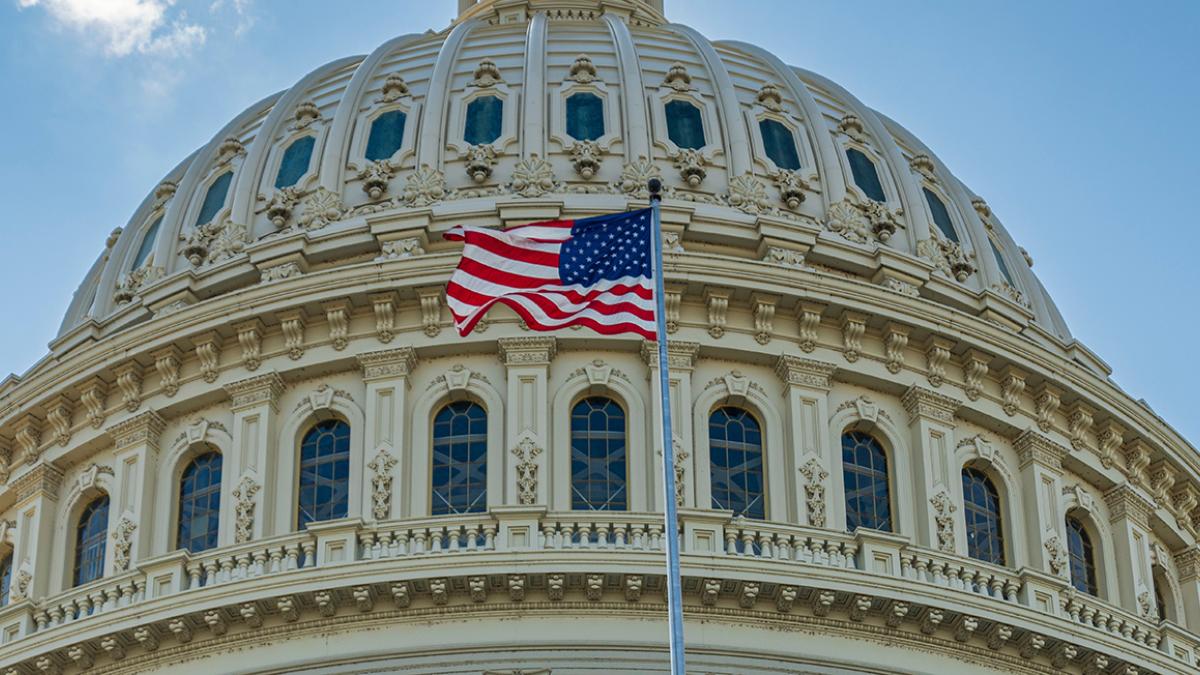 Flag flying in front of the Capitol building