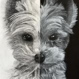 Bitsy in Black and White