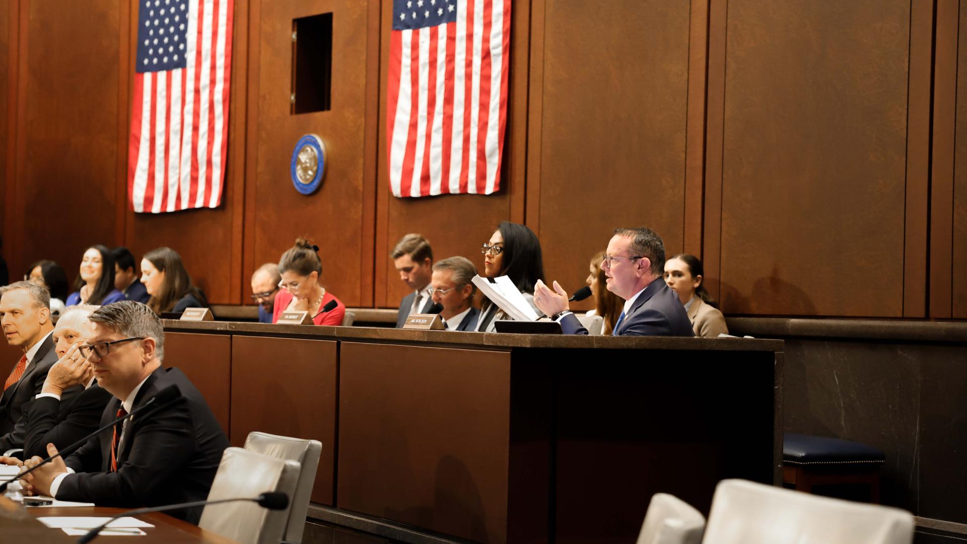 Burlison in committee