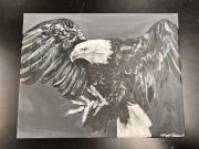 Fly High
